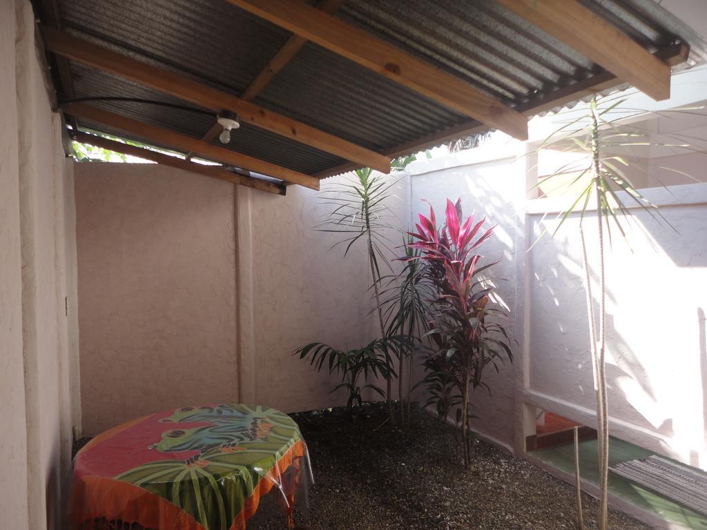 Cabinas Tropicales Puerto Jiménez Oda fotoğraf