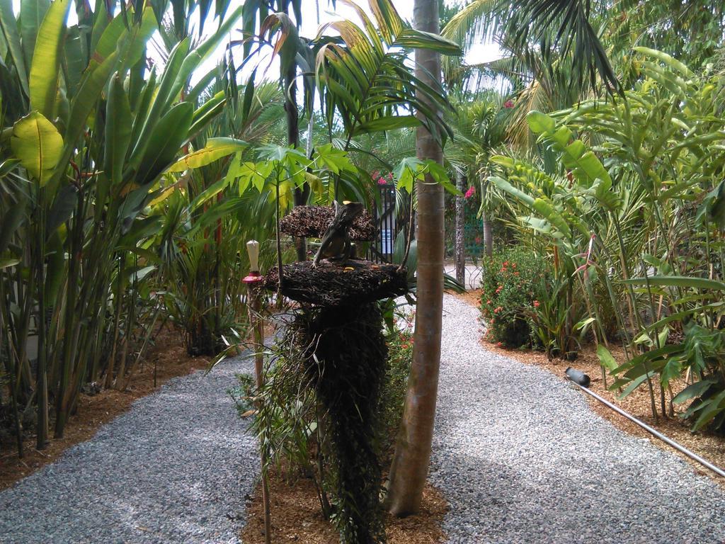 Cabinas Tropicales Puerto Jiménez Oda fotoğraf