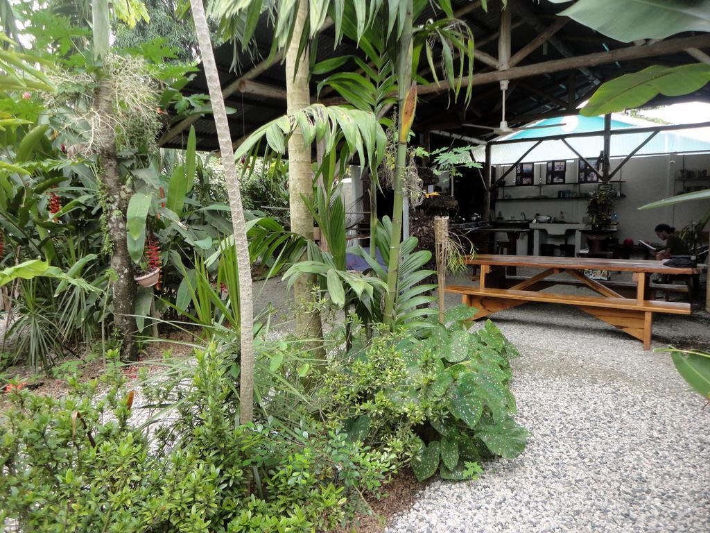 Cabinas Tropicales Puerto Jiménez Oda fotoğraf