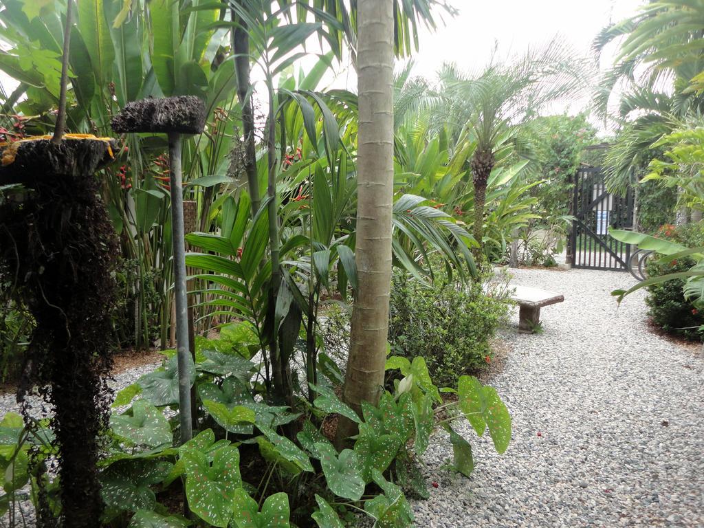 Cabinas Tropicales Puerto Jiménez Dış mekan fotoğraf