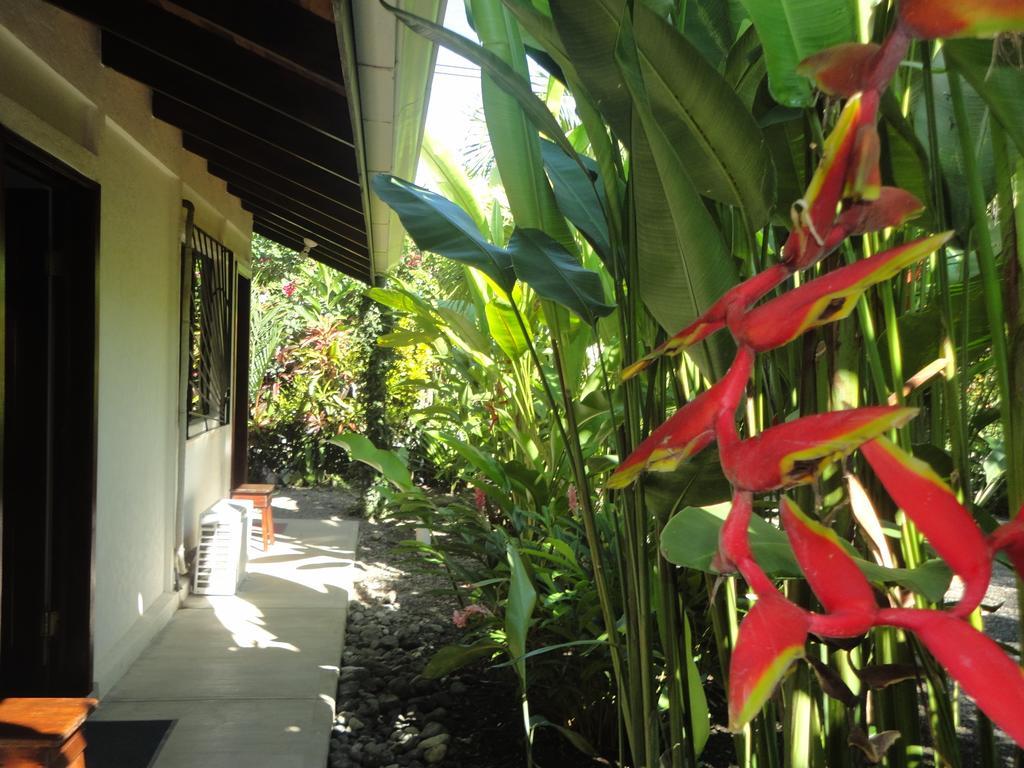 Cabinas Tropicales Puerto Jiménez Oda fotoğraf