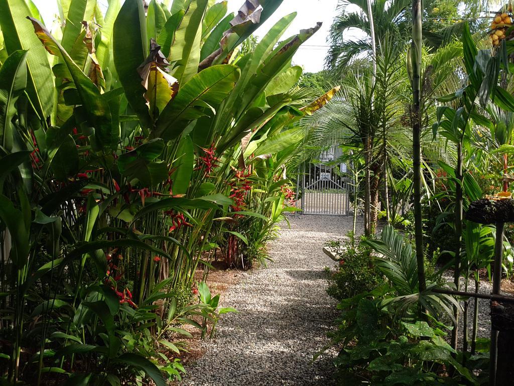 Cabinas Tropicales Puerto Jiménez Dış mekan fotoğraf