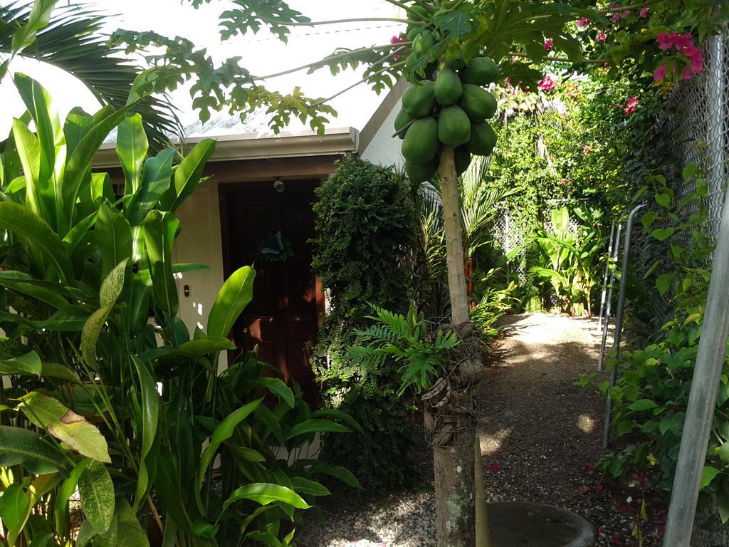 Cabinas Tropicales Otel Puerto Jiménez Dış mekan fotoğraf