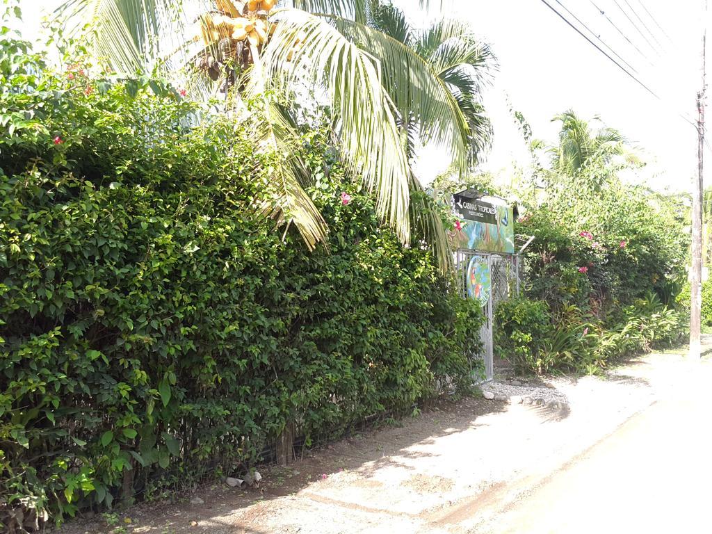 Cabinas Tropicales Puerto Jiménez Dış mekan fotoğraf